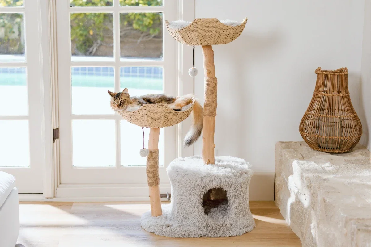 Mau Cento Modern Cat Tree in bullet gray colorway with a cat lounging in the lower wicker basket bed above the plush condo base