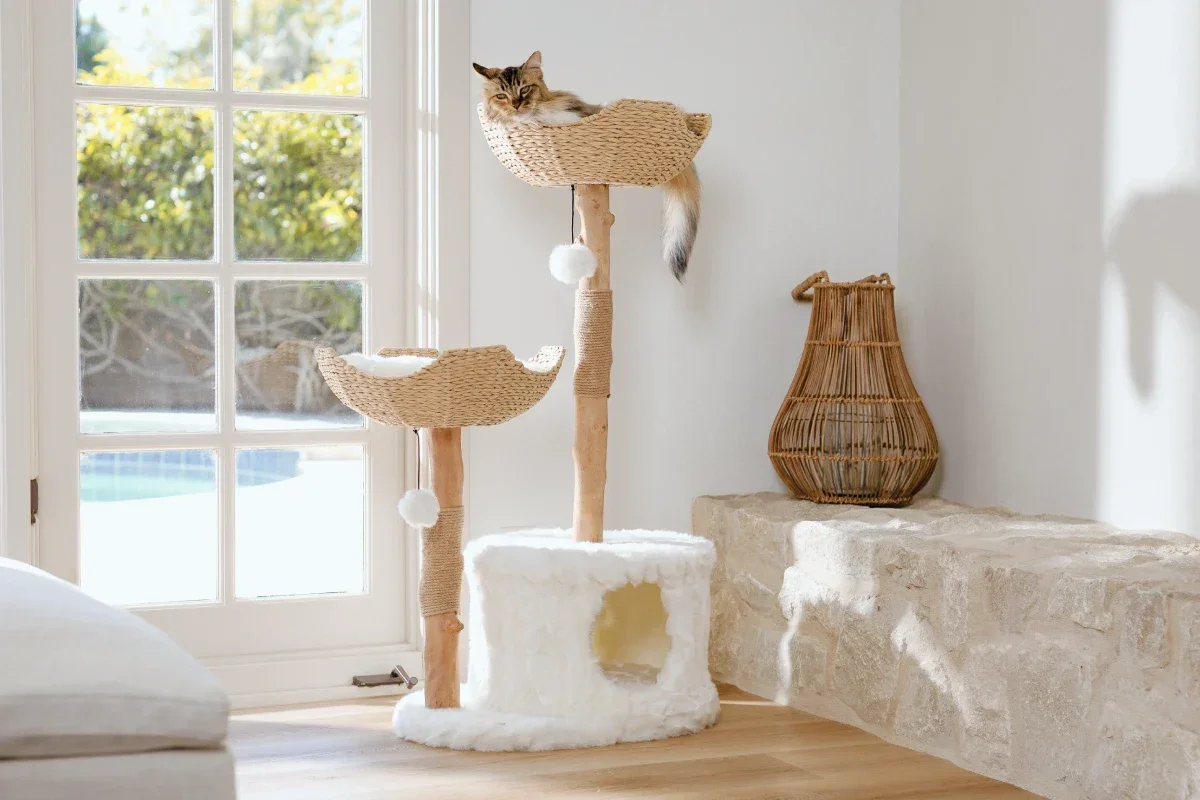 Mau Cento Modern Cat Tree in cotton white, full view showing wicker basket beds on real wood trunks with a cat resting in the top basket in a bright living room