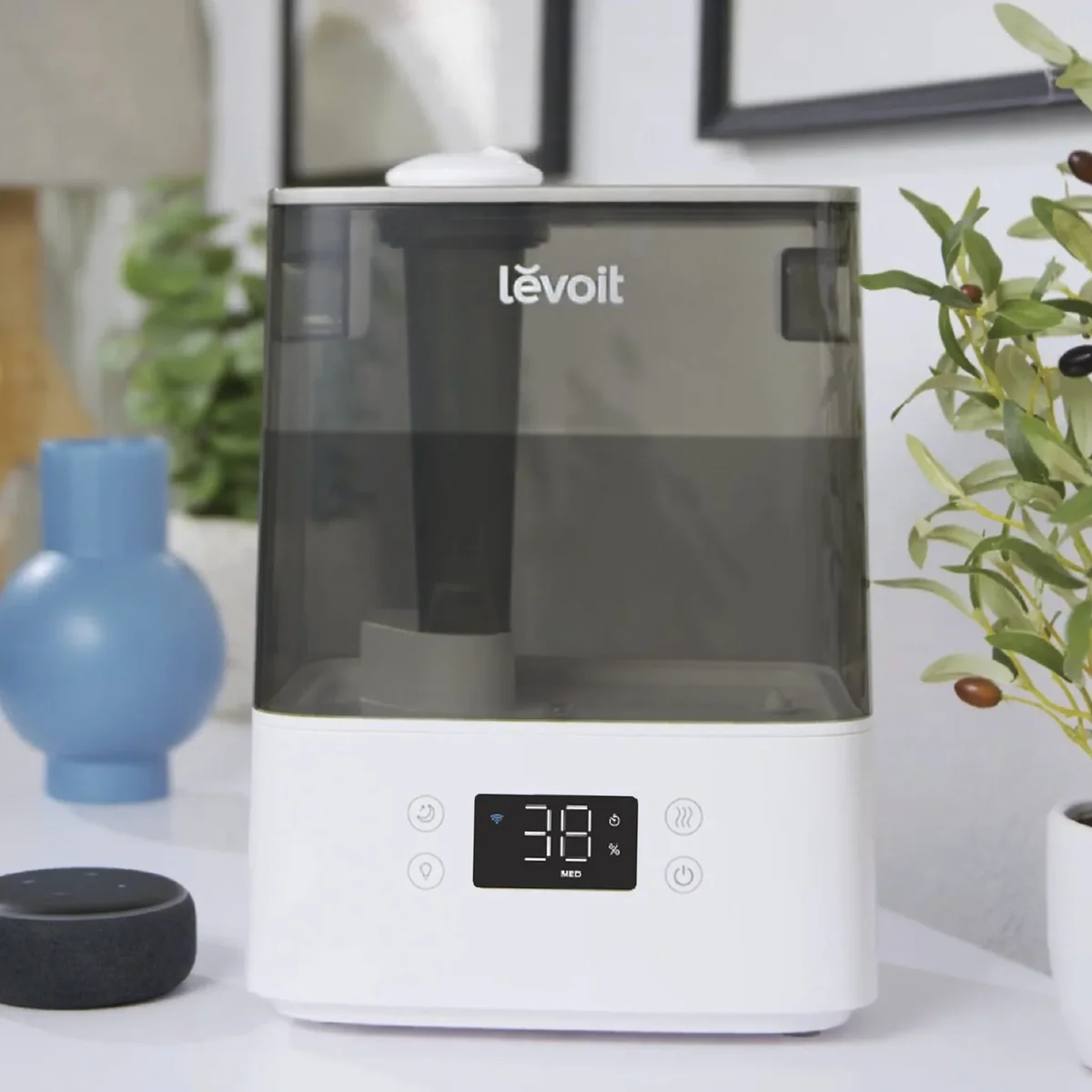 Levoit Classic 300S humidifier in a living room setting on a console table surrounded by houseplants