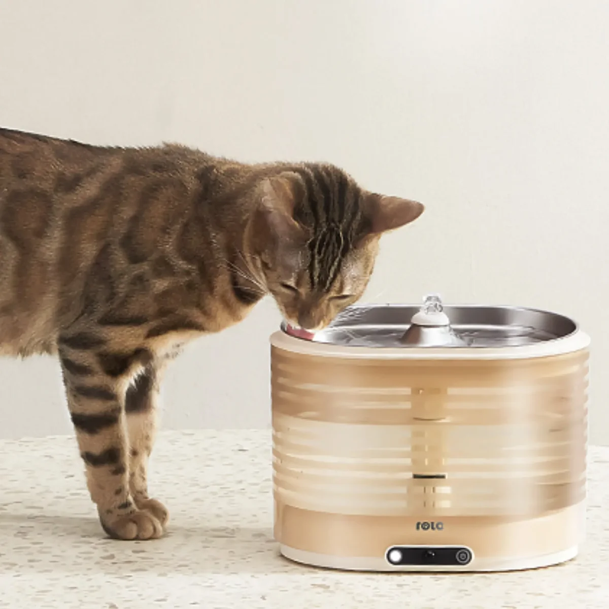 A tabby cat drinking from the Enabot ROLA Smart Pet Water Fountain's stainless steel tray in a home setting