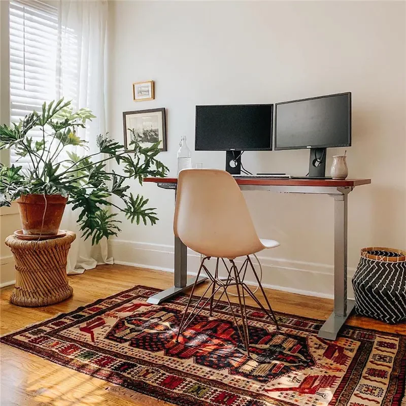 FlexiSpot EN1 standing desk with a silver frame and wood-tone top in a sunny home office, holding dual monitors, with a patterned rug and potted plant