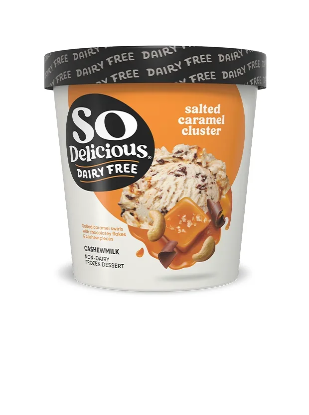 So Delicious Dairy Free Salted Caramel Cluster Cashewmilk Non-Dairy Frozen Dessert pint